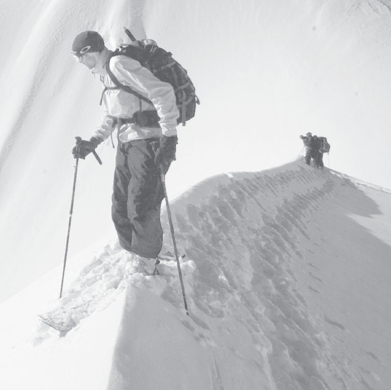 AUTONOMY MASTERY AND PURPOSE in the Avalanche Patch by Bruce Kay